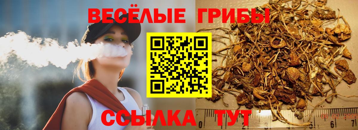 Псилоцибиновые грибы мицелий Асино