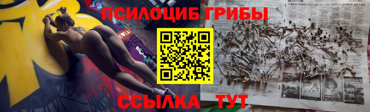 Асино  где найти наркотики  Вход с VPN  Псилоцибиновые грибы MAGIC MUSHROOMS  Галлюциногенные грибы Cubensis 